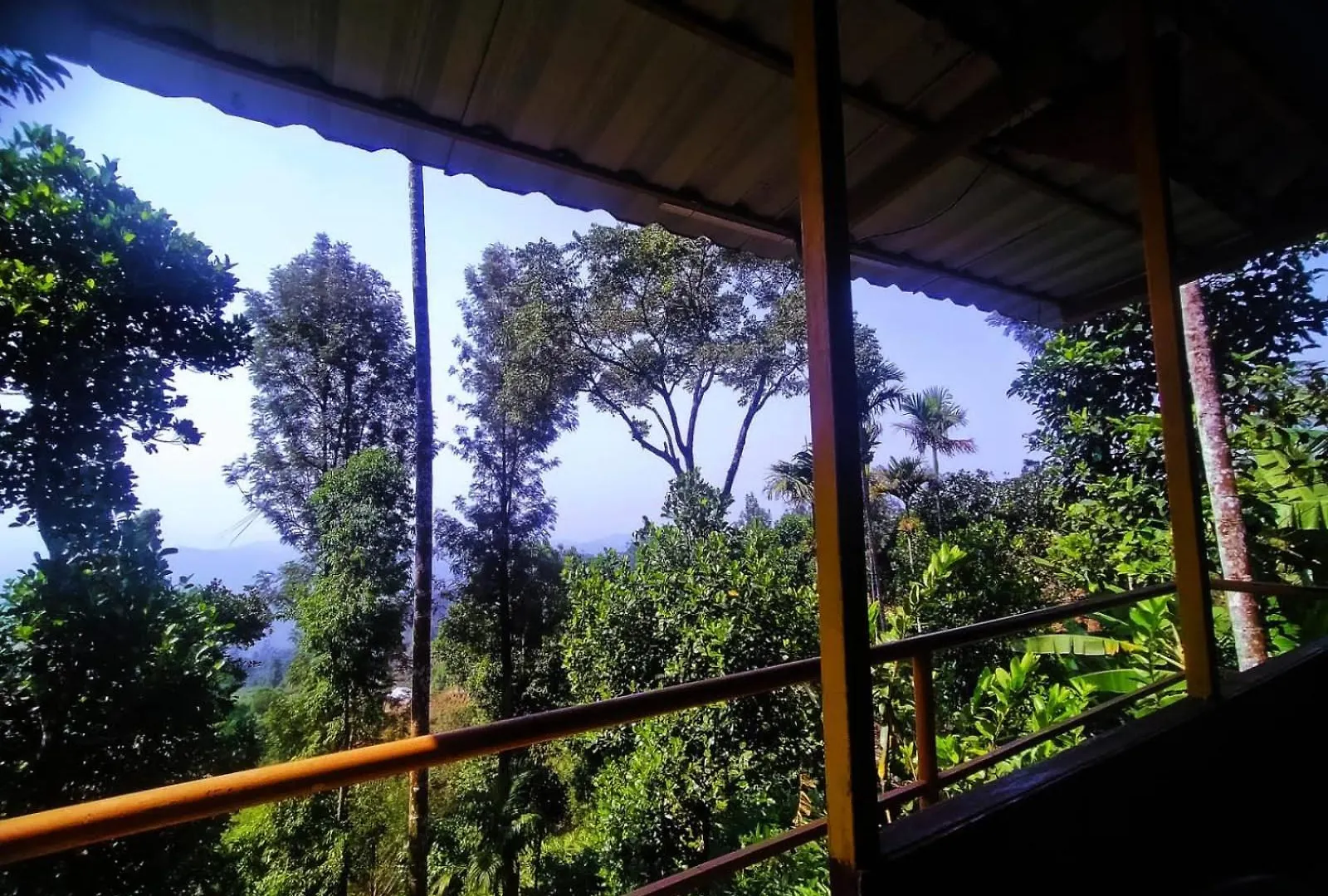 Munnar Home Stay,Tea Drops Plantation Villa Anachal Bed & Breakfast
