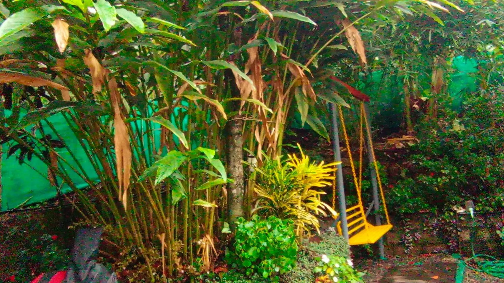 Bed & Breakfast Munnar Home Stay,Tea Drops Plantation Villa Anachal Indie