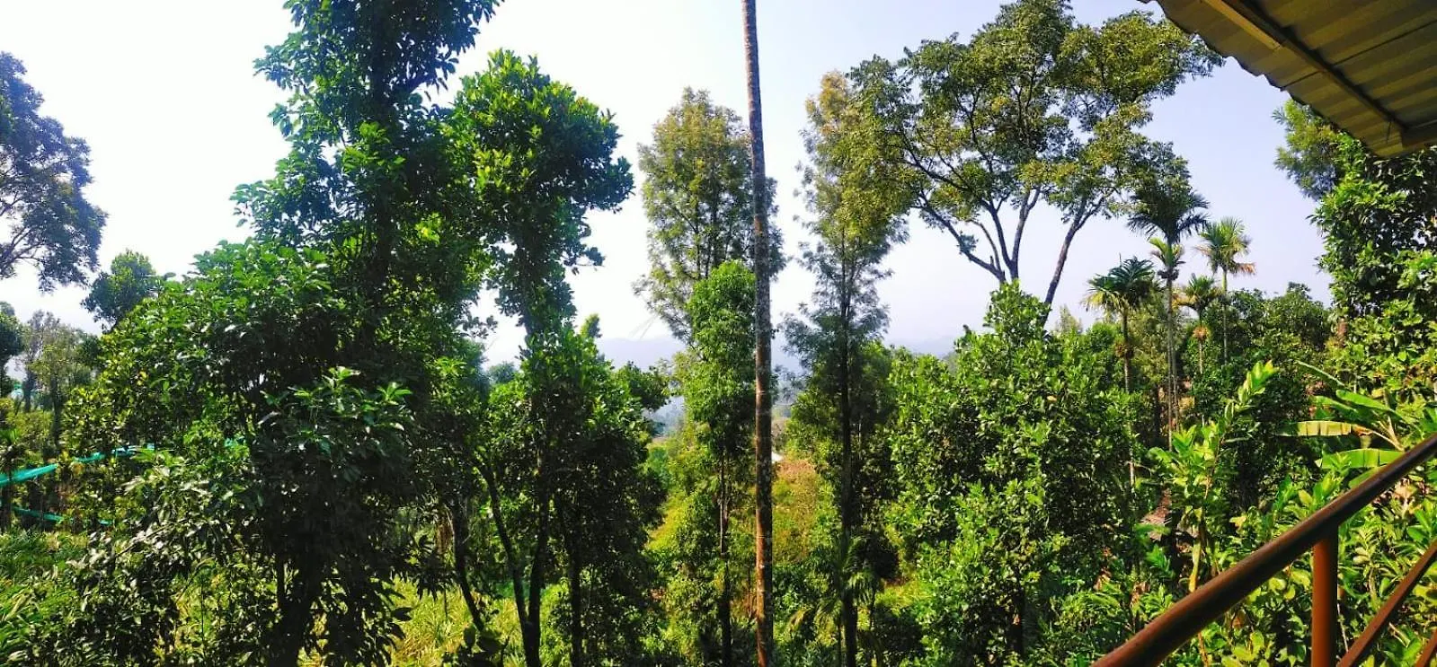 Munnar Home Stay,Tea Drops Plantation Villa Anachal