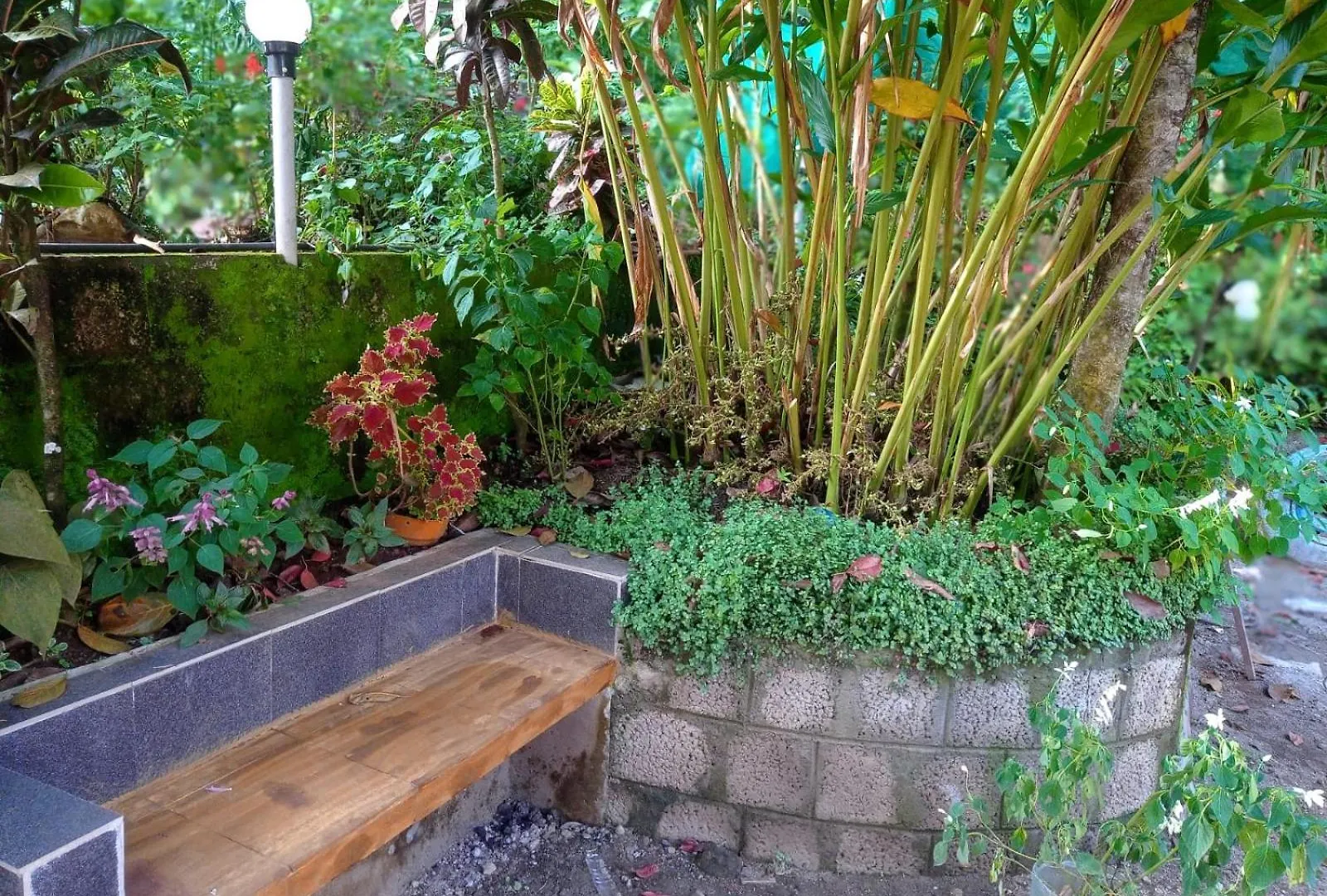 Munnar Home Stay,Tea Drops Plantation Villa Anachal 0*,