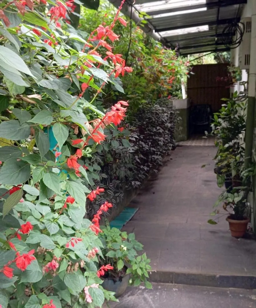 Munnar Home Stay,Tea Drops Plantation Villa Anachal 0*,  India