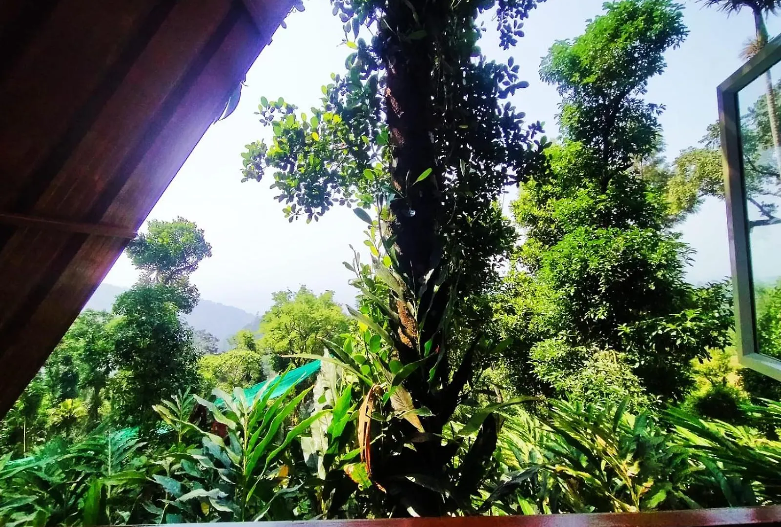 Munnar Home Stay,Tea Drops Plantation Villa Anachal India