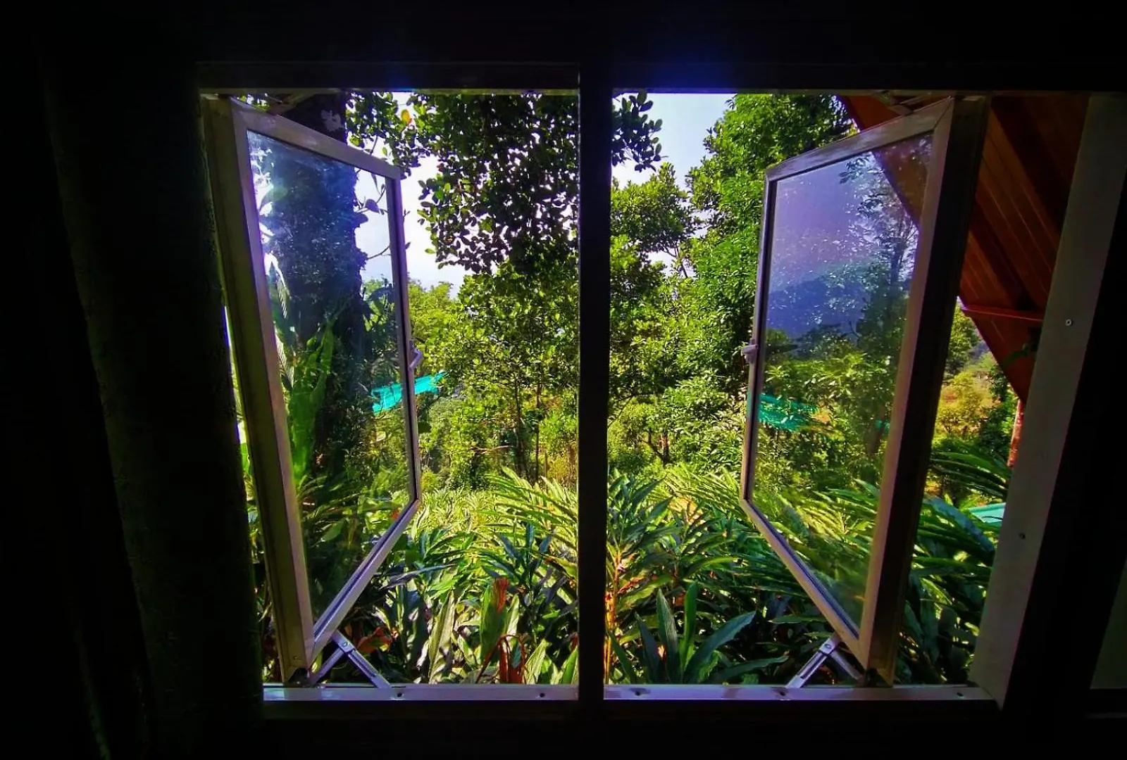 Bed & Breakfast Munnar Home Stay,Tea Drops Plantation Villa Anachal
